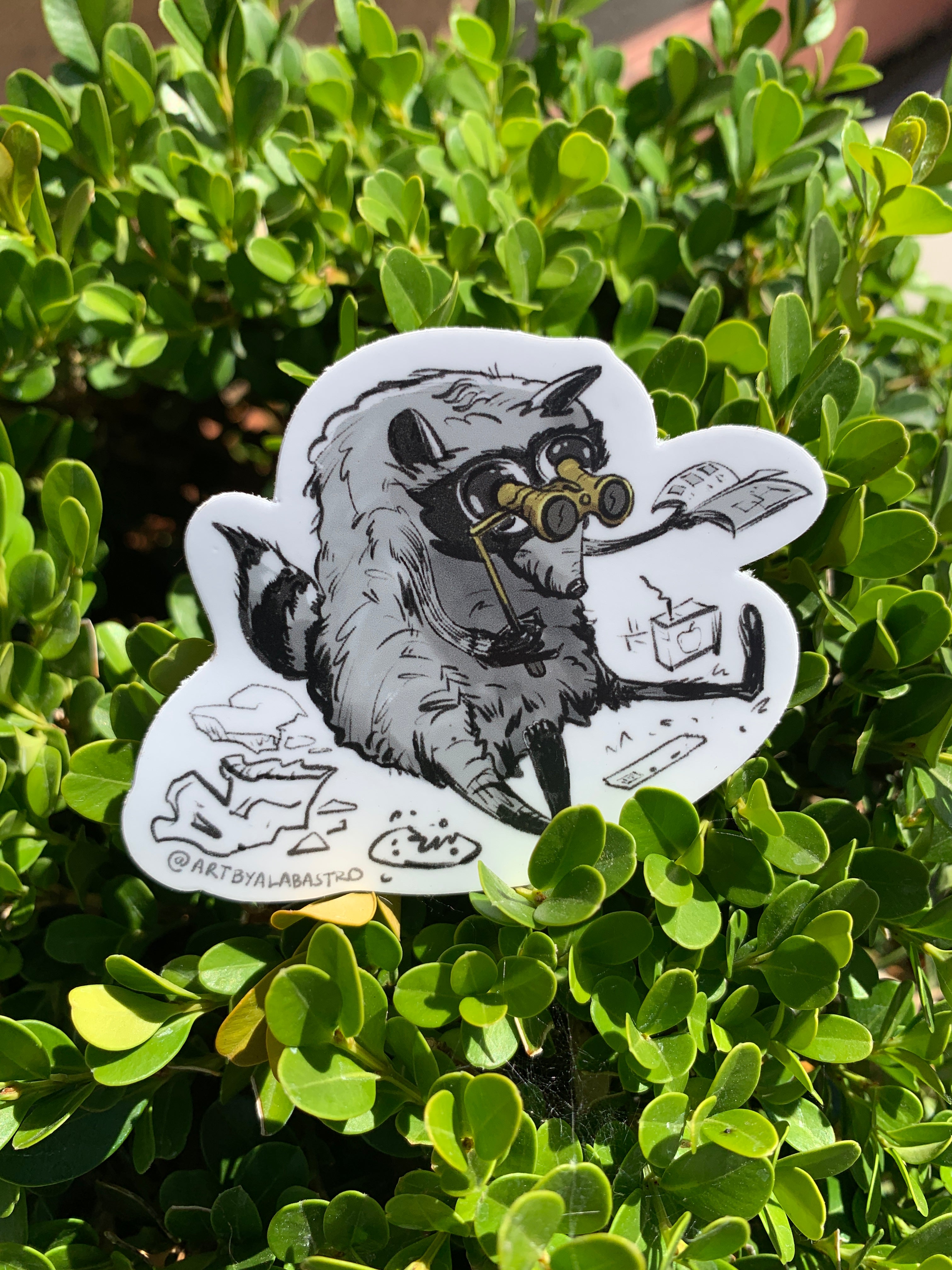 Jimothy the Raccoon Cryptid in the Park Sticker